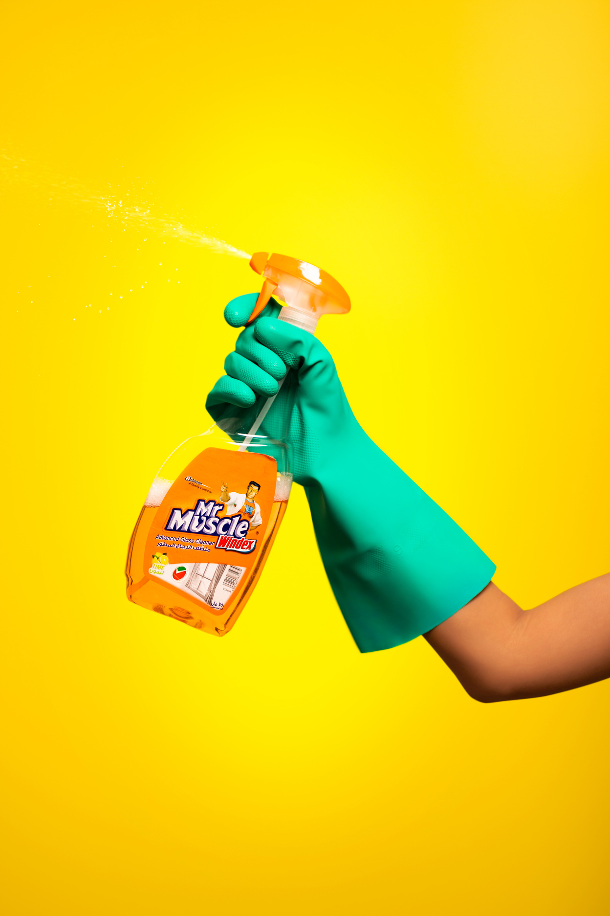 Person Holding Cleaning Product